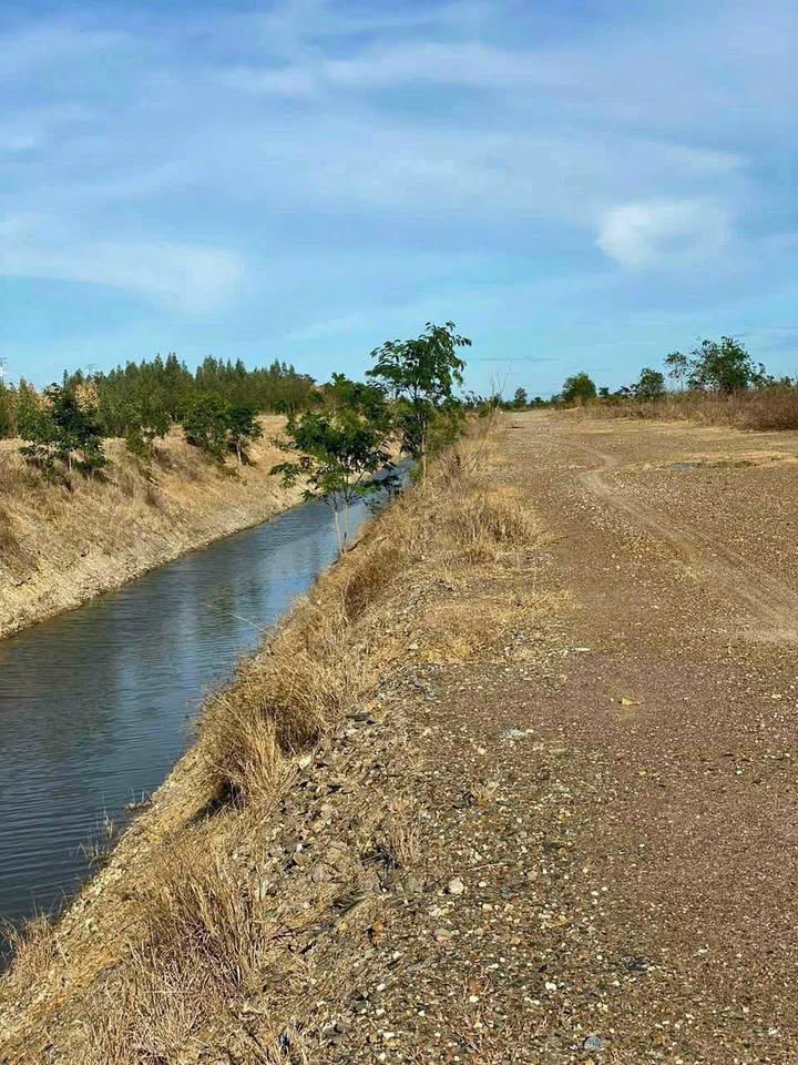 Đất nông nghiệp Hàm Thạnh 3.3ha giá 612 triệu - Cơ hội đầu tư vàng!