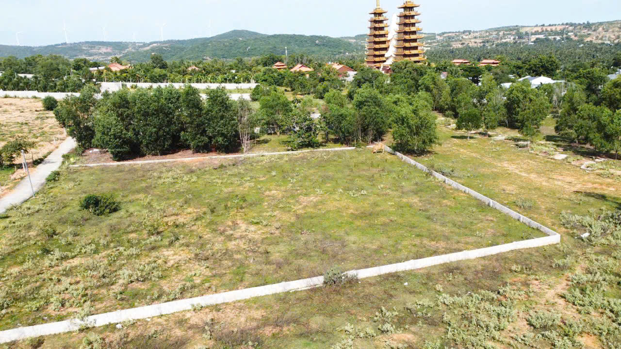 Đất CLN 2000m² tại Thiện Trung, Phan Thiết - Sổ đỏ chính chủ, pháp lý rõ ràng!