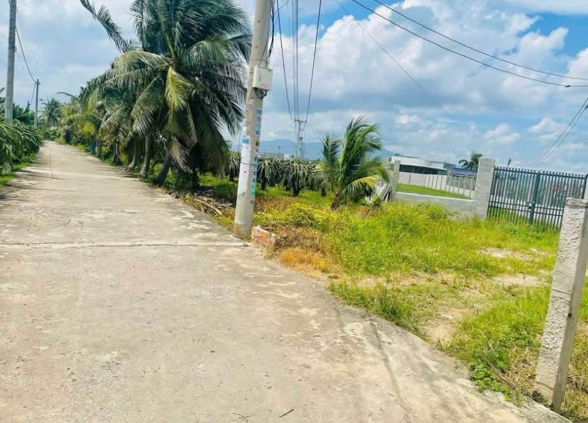 Đất vườn Hàm Hiệp 800m² giá 1.2 tỷ - Gần Phan Thiết, đầu tư lý tưởng!