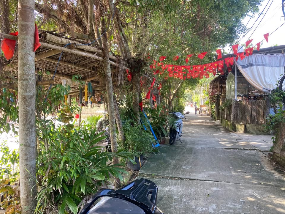 Đất nền Cẩm Châu Hội An 280m² giá 9 tỷ - View lúa thơ mộng!