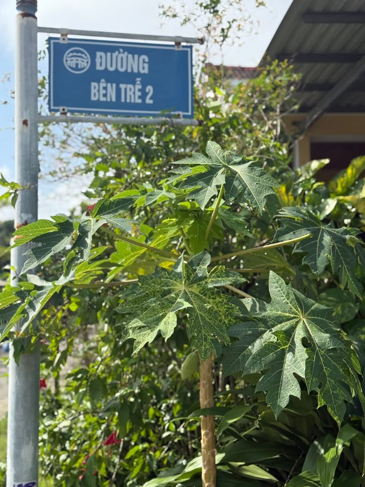 Đất nền Bến Trễ 2 Cẩm Hà 117m² giá 2.3 tỷ - Đầu tư sinh lời tốt!