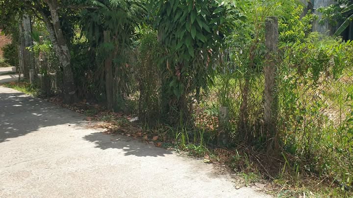 Đất vườn Nghĩa Dõng 500m² giá 2.7 tỷ - Vị trí đẹp mặt tiền rộng 18m