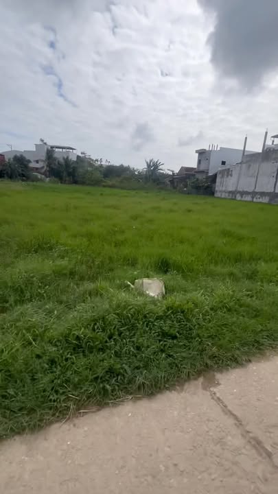 Đất nền Đức Nhuận, Mộ Đức 168m² giá 520 triệu - Đường ô tô vào tận nơi!