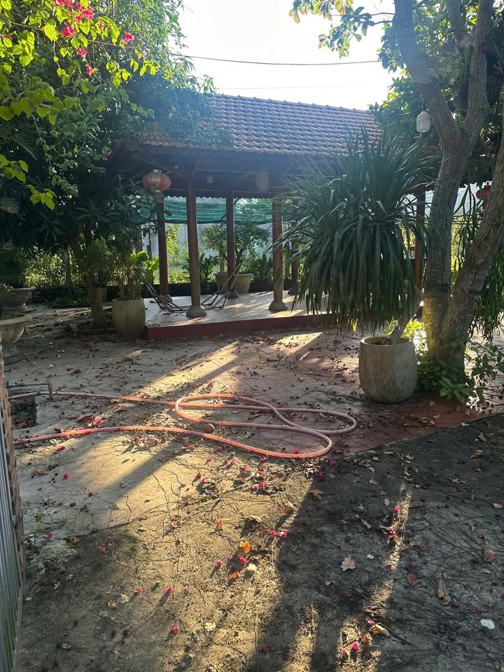 Nhà vườn Tam Phú 600m² giá 1.8 tỷ - Sẵn sàng cho bạn đầu tư!