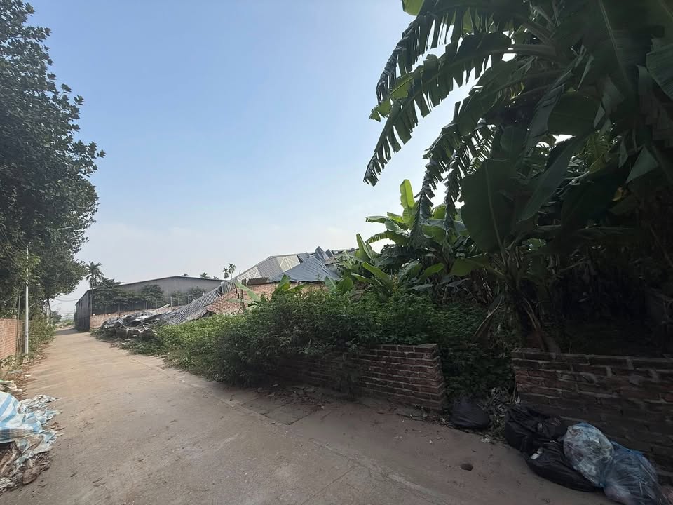 Lô đất 100m² tại Song Phương, Hoài Đức - Sổ Hồng chính chủ, giá thỏa thuận!