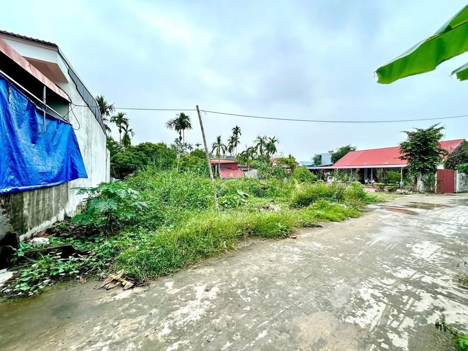 Đất nền Thôn An Tử, xã Tiên Lãng 86m² giá 1 tỷ - Đầu tư sinh lời ngay!