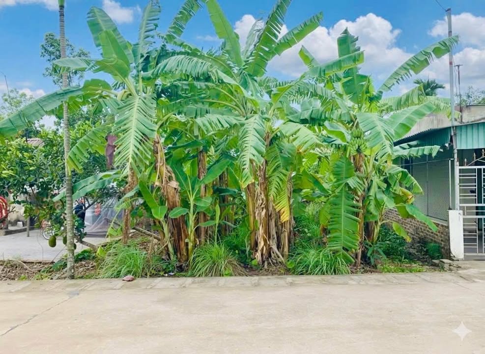 Đất thổ cư 142m² mặt tiền 5m tại Quyết Tiến - Tiềm năng sinh lời cao!