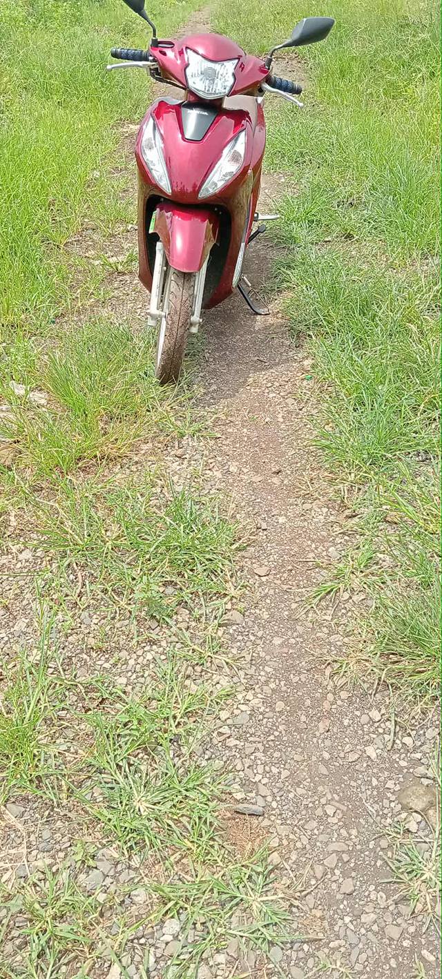 Đất vườn Xuân Thành 2000m² giá 600 triệu - Sổ hồng chính chủ, đường xe hơi vào tận nơi!