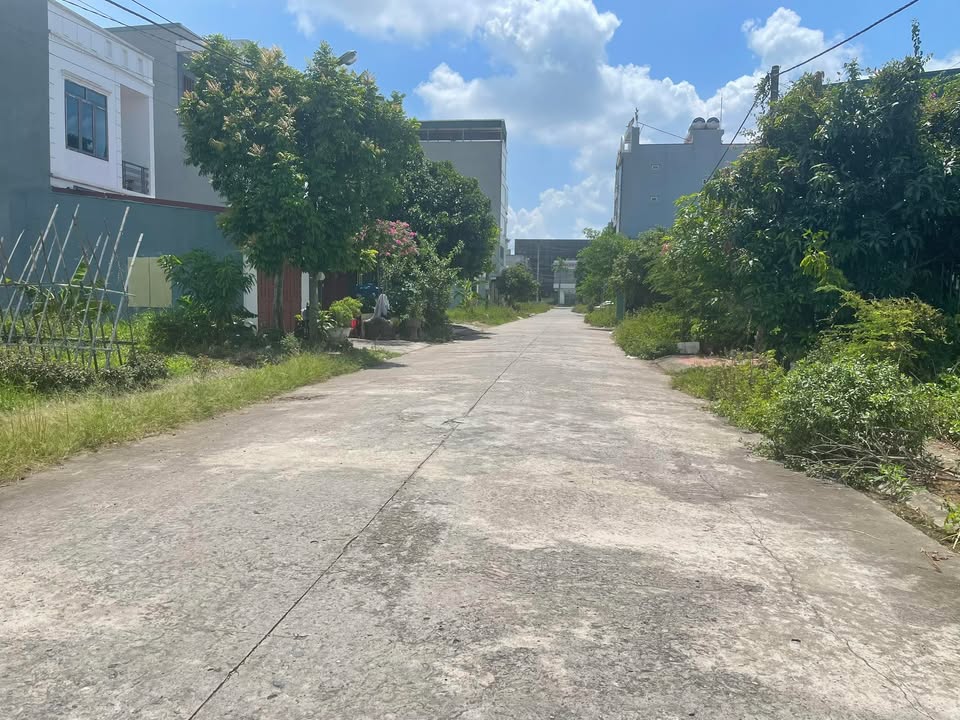 Đất phân lô Ninh Phúc 100m² giá 3.8 tỷ - Đối diện Big C, vị trí đắc địa!