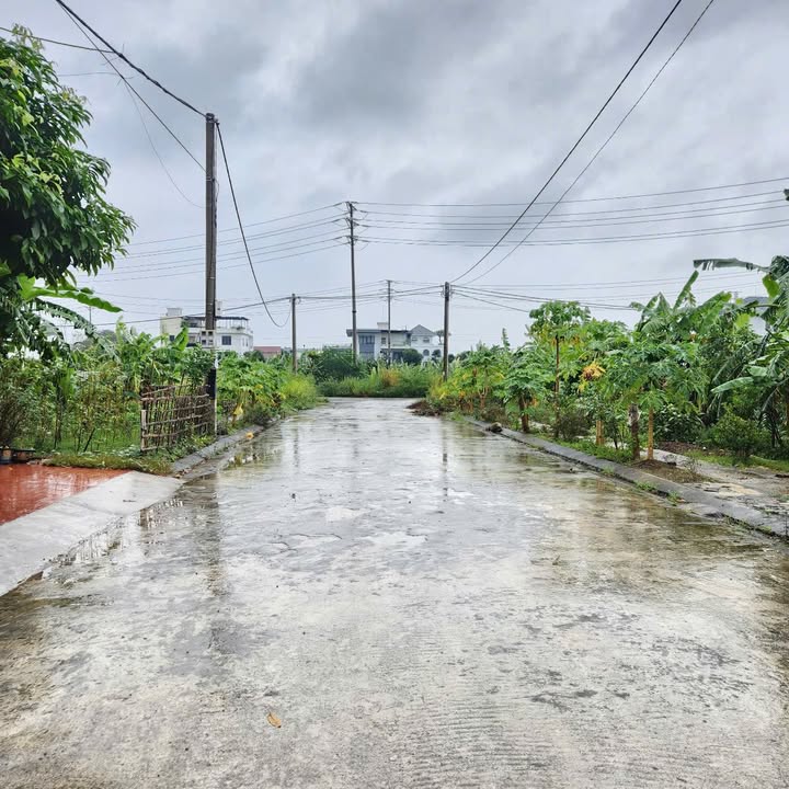 Đất nền Nam Bình, Ninh Bình 102m² giá từ 4 tỷ - Vị trí đắc địa gần UBND!