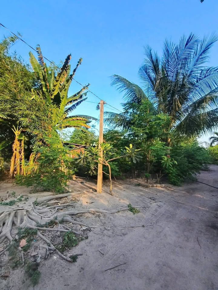 Lô đất Phước Hải 3.7 sào sổ hồng chính chủ - Cơ hội đầu tư tuyệt vời!