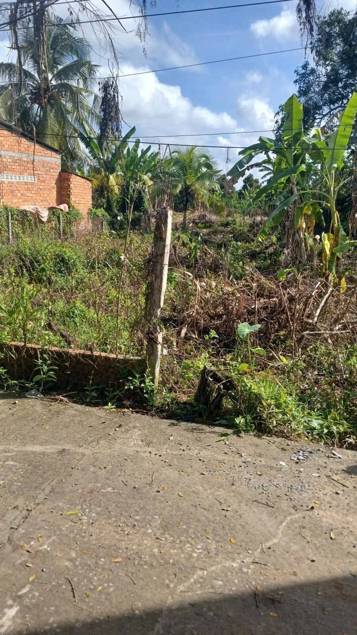 Đất nghỉ dưỡng Phong Điền 1424m² giá chỉ 1.99 tỷ - View kênh rạch thoáng mát!