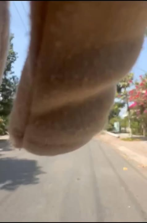 Đất nền mặt tiền Hùng Vương 146m² giá 1.35 tỷ - Cơ hội đầu tư tuyệt vời!