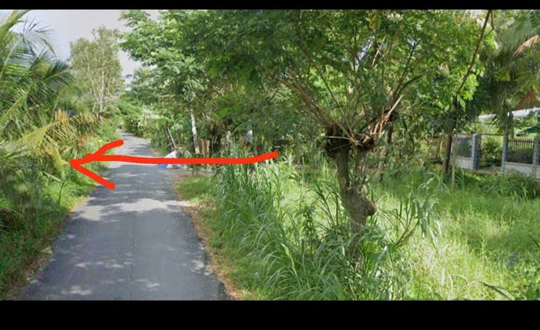 Đất vườn 992m² tại Thanh Bình, Chợ Gạo, Tiền Giang - Giá chỉ 850 triệu!