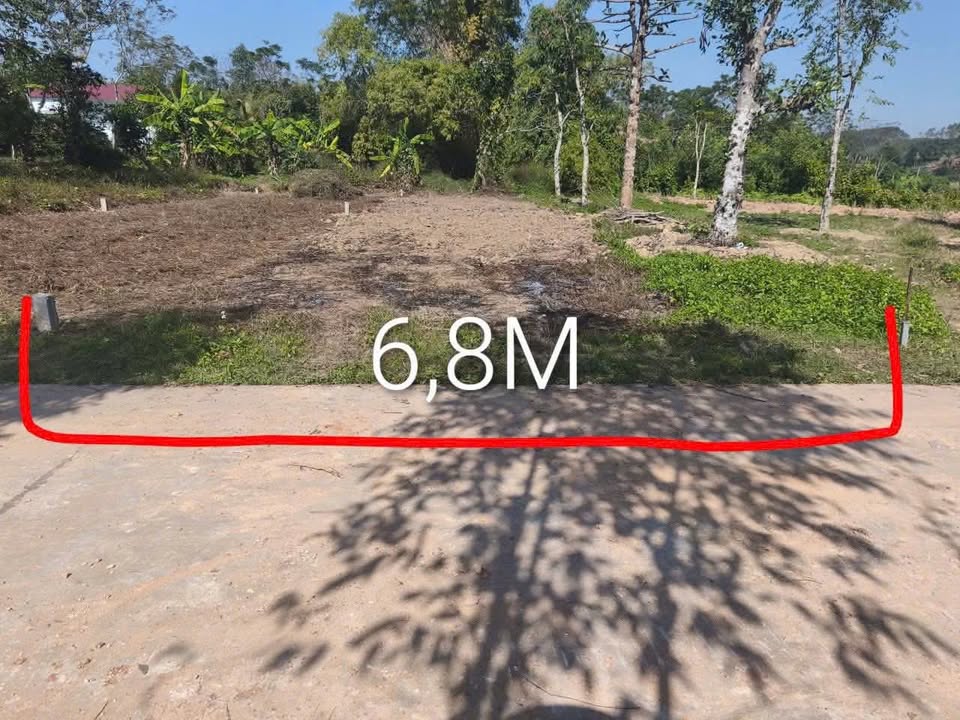 Đất nền khu phố Tân Gia, Yên Thế, Bắc Giang 204m² - Giá thỏa thuận hấp dẫn!