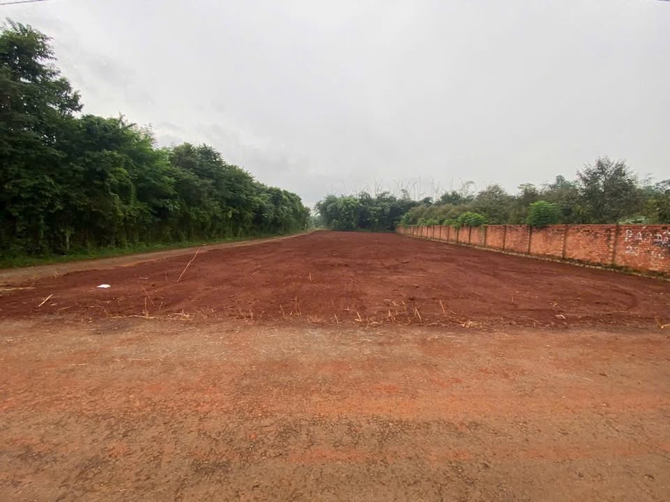 Đất mặt tiền đường nhựa Tam Long 690m² giá 1.7 tỷ - Cơ hội đầu tư sinh lời!