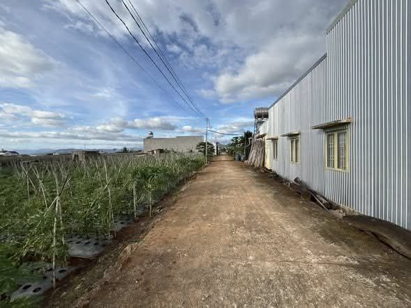 Đất thổ cư 100m² Tổ 34, Thị Trấn Liên Nghĩa, 1.3 tỷ - Đầu tư sinh lời ngay!