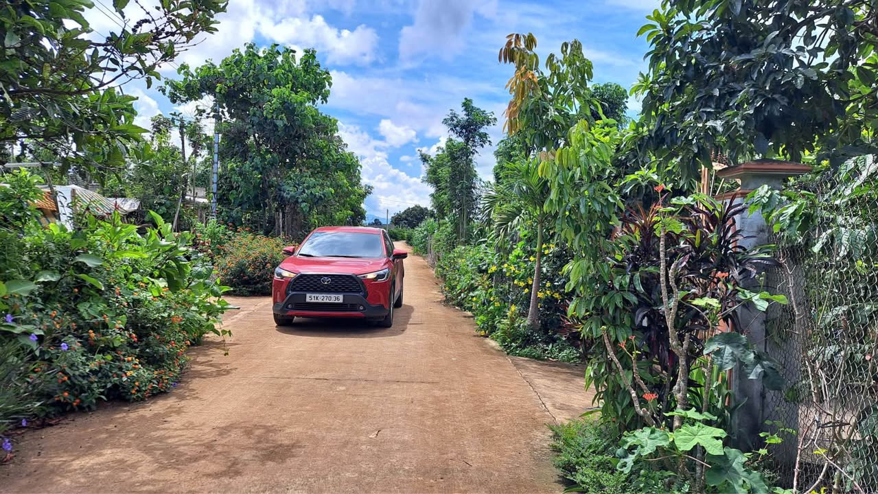 Đất thổ cư 250m² tại Tân Hội, Đức Trọng - Giá chỉ 860 triệu - Cơ hội đầu tư tuyệt vời!