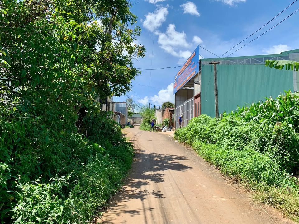 Đất nền Hẻm 38 An Dương Vương, Thắng Lợi, 149m² - Đầu tư sinh lời ngay!