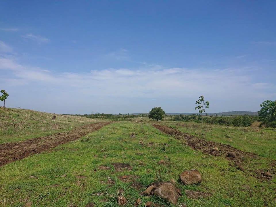 Đất nền thổ cư 1ha tại thôn 3, xã Ia Pia, giá 400 triệu - Cơ hội đầu tư hấp dẫn!