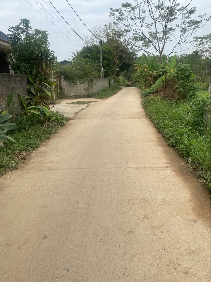 Đất nền Tổ 11 Nông Tiến Tuyên Quang 210m² giá 1.2 tỷ - Cơ hội đầu tư tuyệt vời!