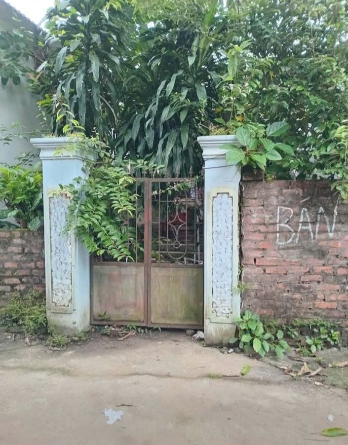 Đất nền mặt tiền đường Lê Lai, phường Thống Nhất, 116m² - Giá chỉ 800 triệu!