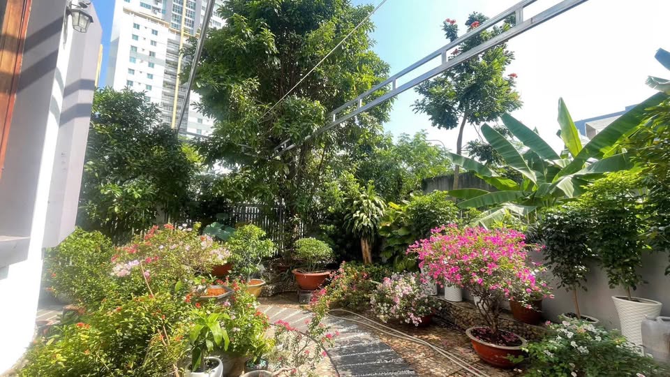 Nhà vườn 1500m² xã Hiệp Phước, Nhà Bè - Bán gấp chỉ 10 tỷ!