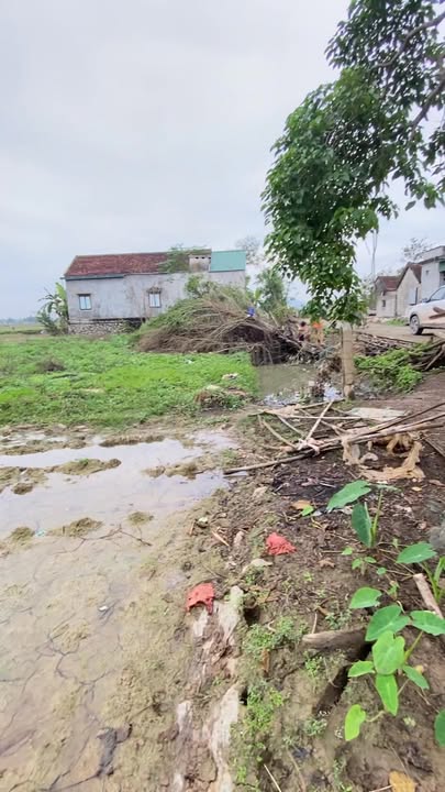 Đất đấu giá xóm Phú Thọ, xã Long Thành, Nghệ An 280m² - Cơ hội đầu tư tuyệt vời!