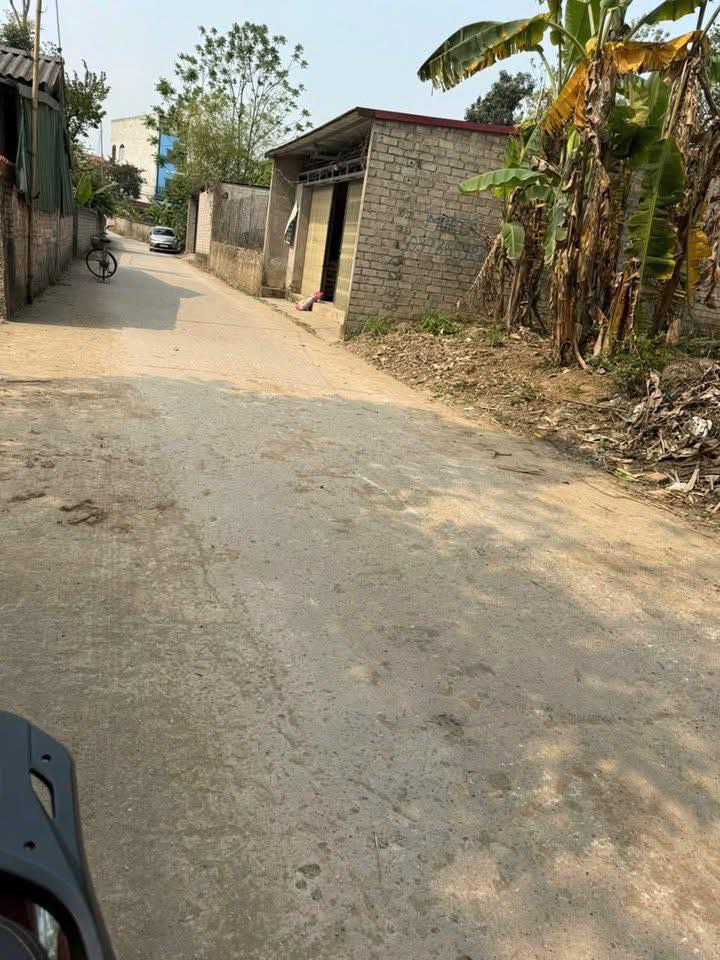 Đất thổ cư TDP Phúc Thịnh, Thị Trấn Thắng 127m² giá chỉ 1.4 tỷ - Đường lớn ô tô tránh nhau!