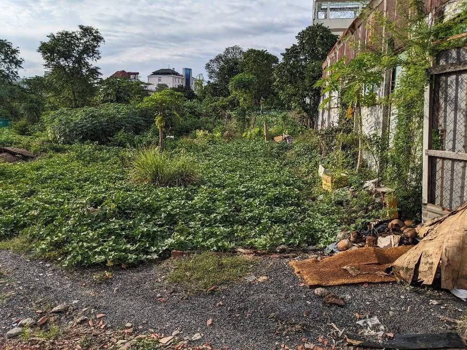 Đất nền đường Trần Thị Vững, Dĩ An 309m² giá 8 tỷ - Đầu tư sinh lời ngay!