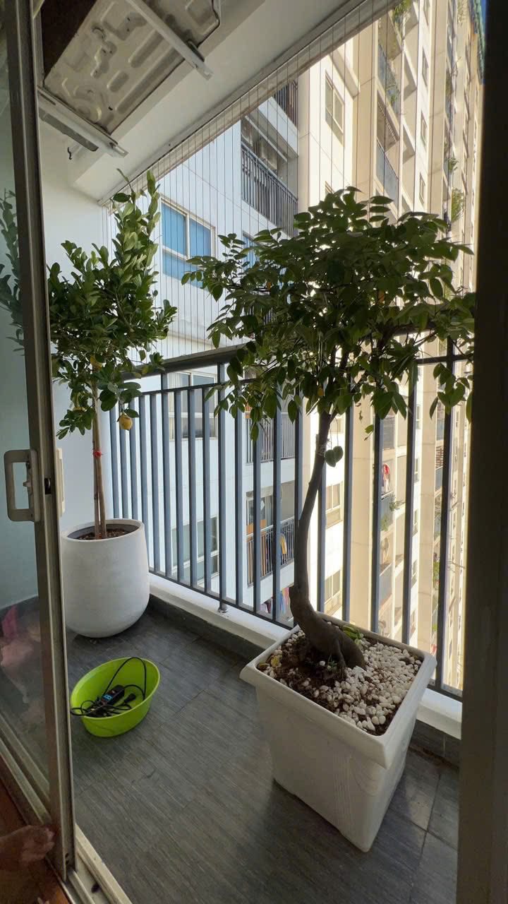 Căn hộ Ecohome Phúc Lợi 82m² giá 5.1 tỷ - Thiết kế hiện đại, nội thất đầy đủ!