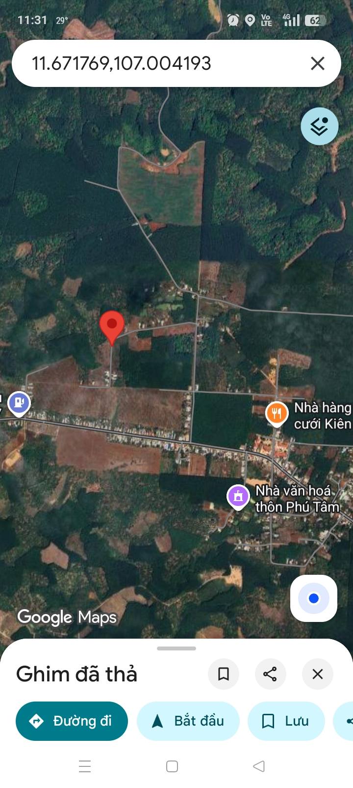 Đất thổ cư Phú Trung Phú Riềng 260m² giá chỉ 2xx triệu - Bán gấp vì cần tiền!