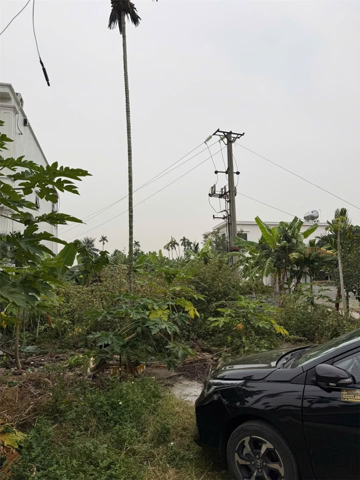 Đất nền Dương Kinh 247m² giá chỉ 20 triệu/m² - Cơ hội đầu tư hiếm có!