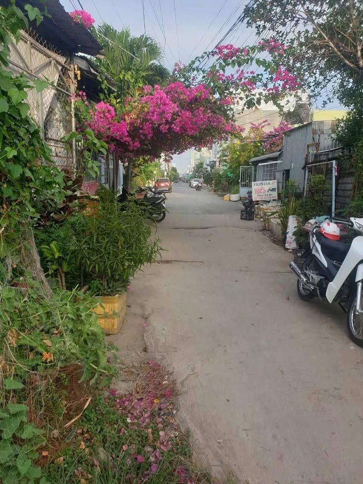 Đất nền đường Trần Văn Ơn, phường 8, Cà Mau 80m² giá 600 triệu - Tiện ích đầy đủ