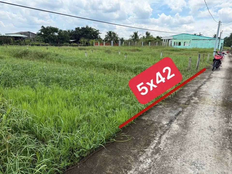 Đất thổ cư Tầm Vu 211m² giá 390 triệu - Sổ hồng chính chủ, vị trí đắc địa!