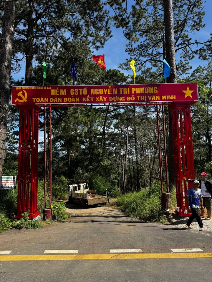 Bán đất Đà Lạt 500m² giá 7 tỷ - View đẹp giữa rừng thông