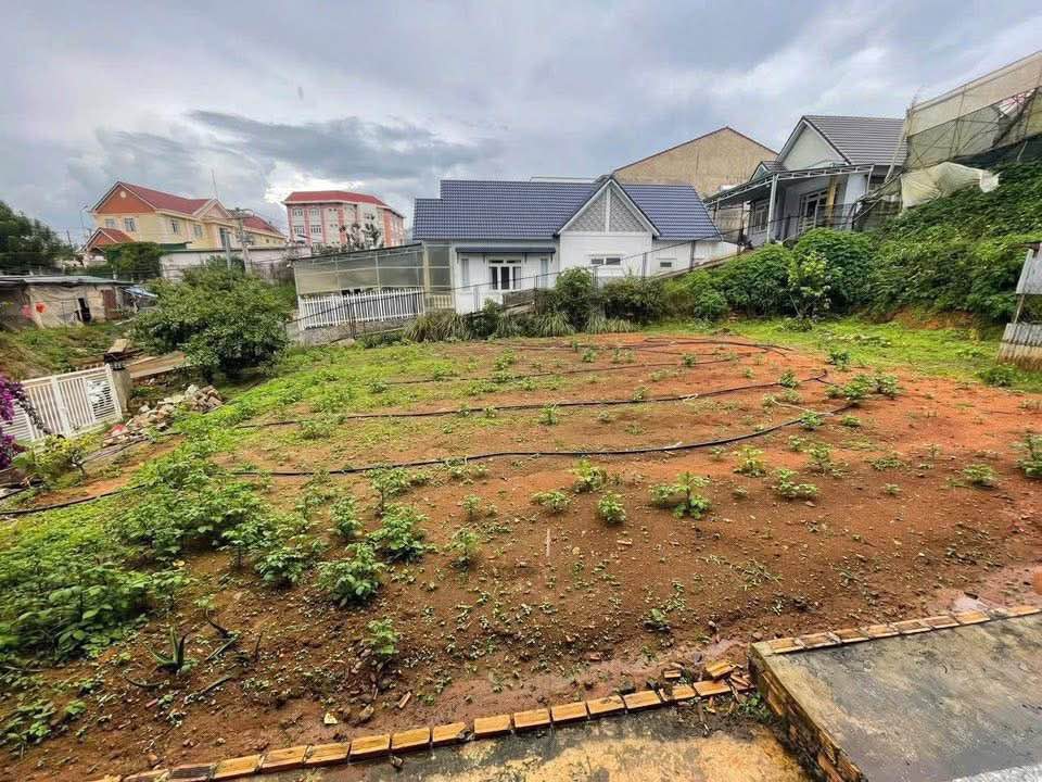 Đất mặt tiền đường nhựa phường Lang Biang Đà Lạt 161m² giá 3.899 tỷ - Cơ hội vàng cho nhà đầu tư!