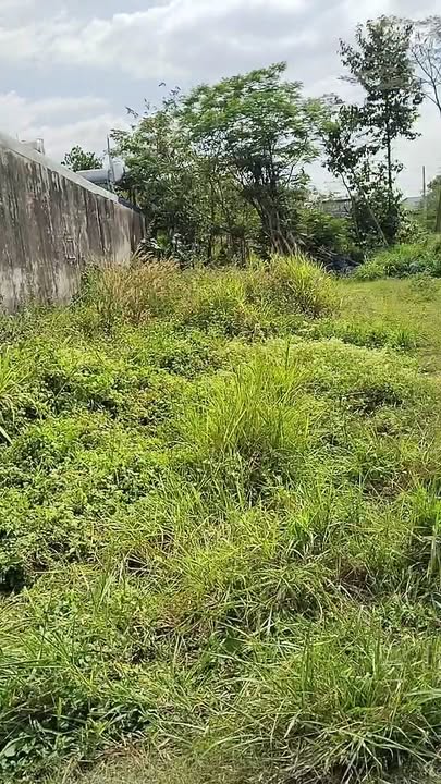 Đất nền Quảng Tiến Trảng Bom 502m² - Sổ hồng riêng, giá thỏa thuận hấp dẫn!