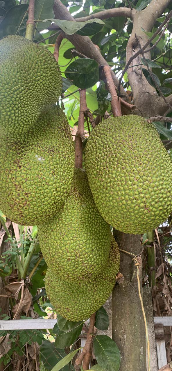 Đất nền 2 mặt tiền đường 767 Vĩnh Cửu 503m² giá 5.8 tỷ - Cơ hội đầu tư hấp dẫn!