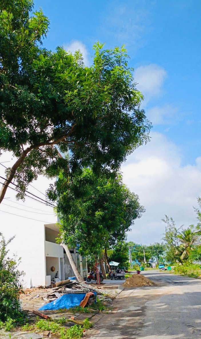 Đất nền tại Ngũ Hành Sơn Đà Nẵng 150m² giá 5.5 tỷ - Đầu tư sinh lời ngay!