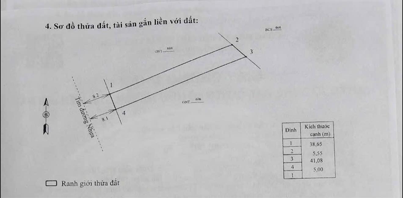 Đất nền Nhơn Tân, An Nhơn 200m² giá chỉ 400 triệu - Đầu tư sinh lời ngay!