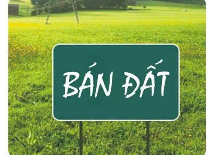 Đất vườn 1500m² Phước Hiệp, Tuy Phước - Giá 300 triệu VND, Sổ hồng riêng!