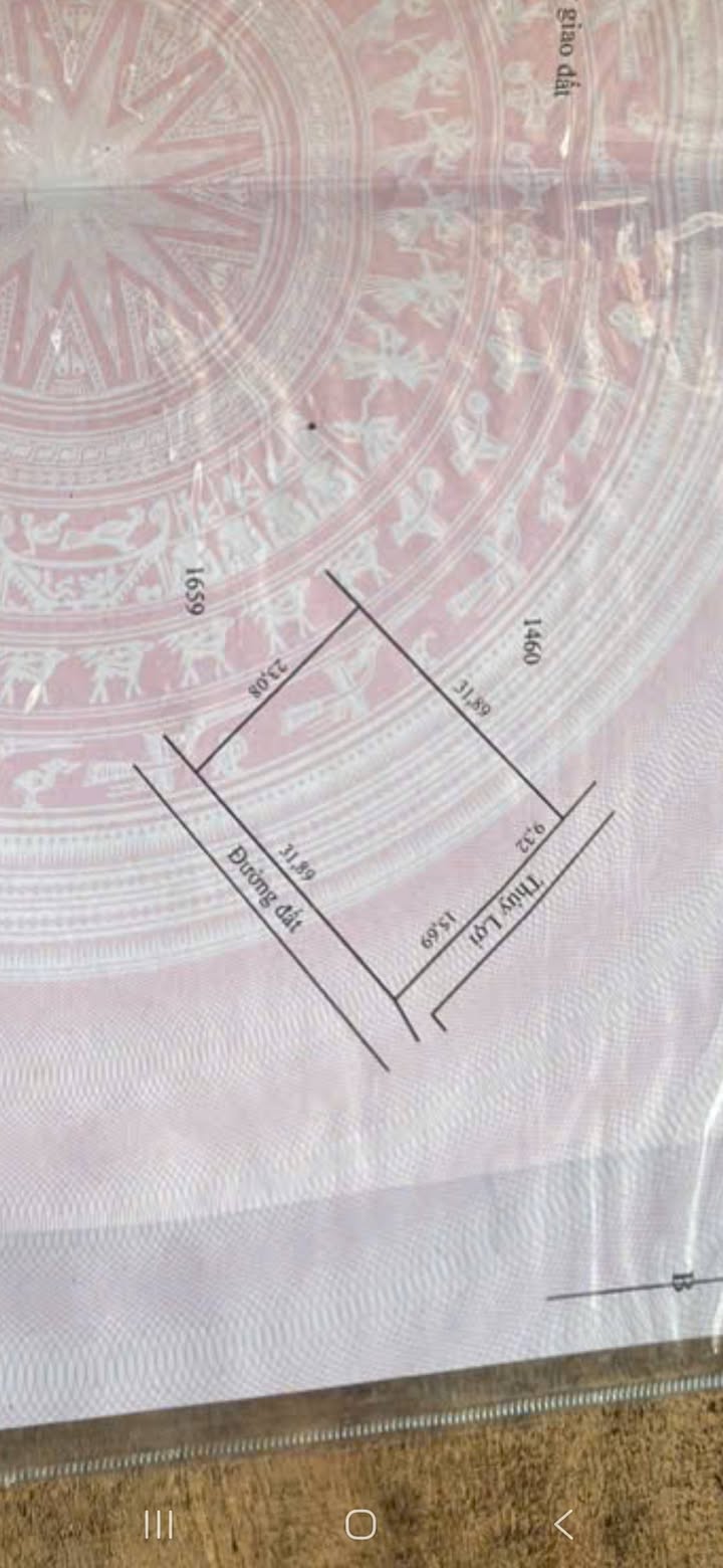 Đất mặt tiền 31.8m tại Bình Thuận, 7314m² chỉ 380 triệu - Cơ hội đầu tư vàng!