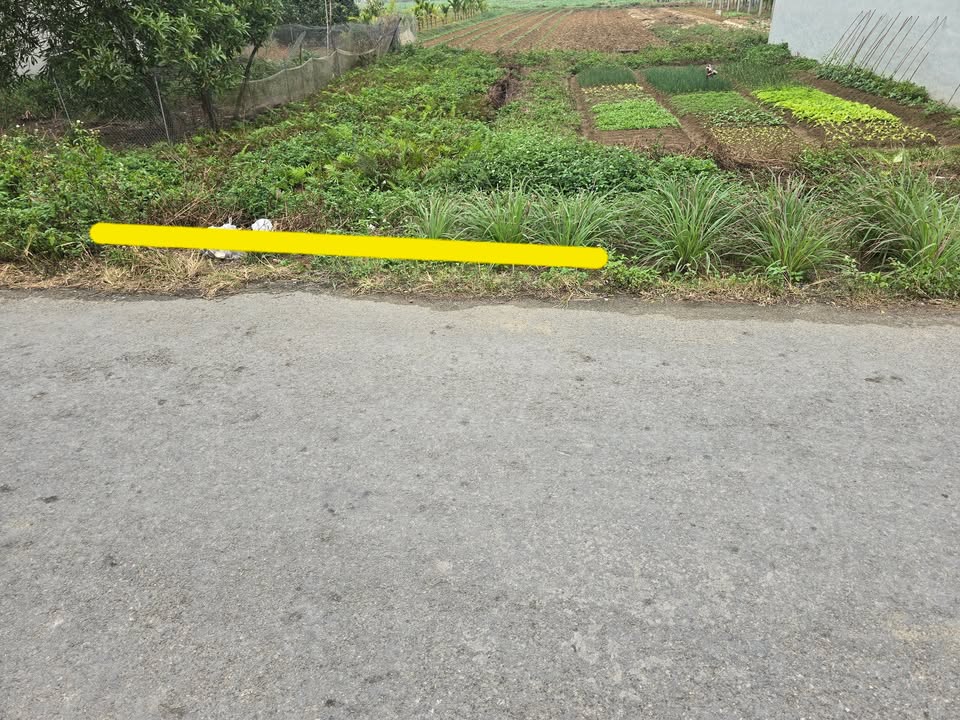 Đất nền chính chủ tại Nga Phượng, Thanh Hóa - Diện tích 100m² - Hướng Đông, giá thỏa thuận!