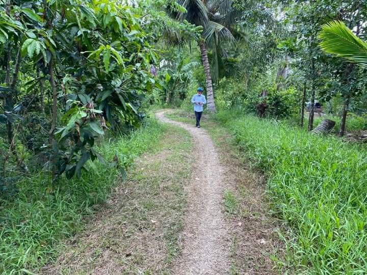 Đất nền Phú Tân, Châu Thành 4500m² giá chỉ 420 triệu - Cơ hội đầu tư hấp dẫn!