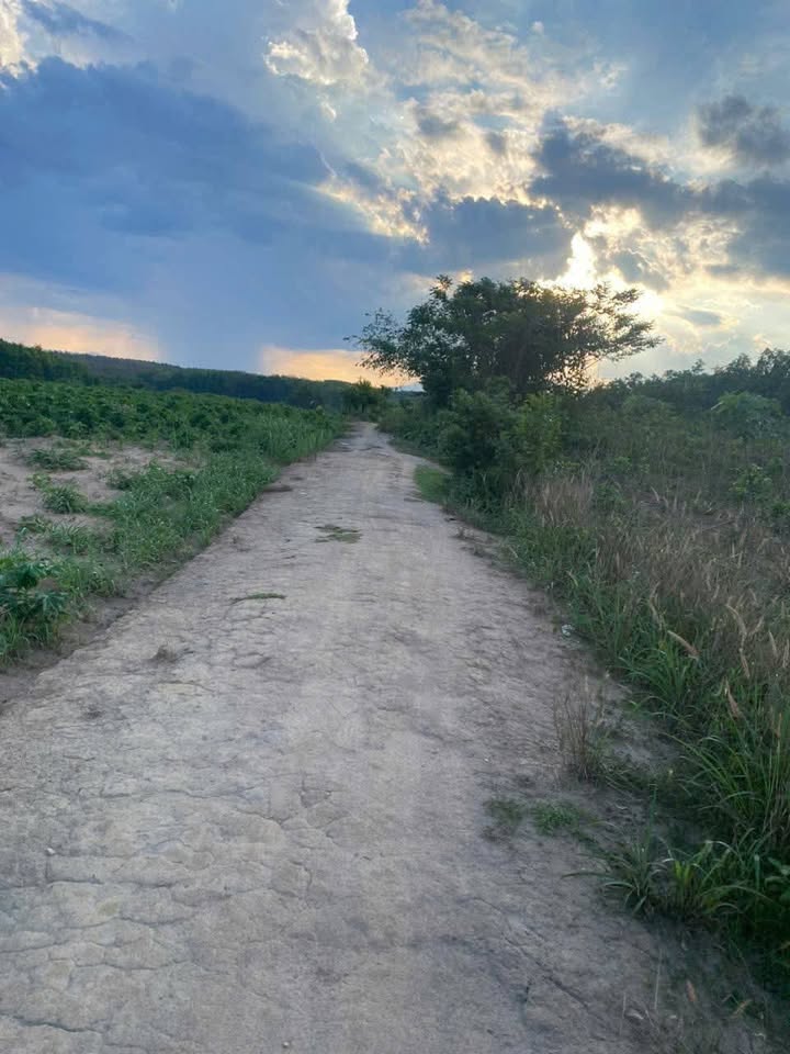 Đất thổ cư tại thôn 2, xã Đắk Cấm 522m² giá chỉ 400 triệu - Cơ hội đầu tư tuyệt vời!