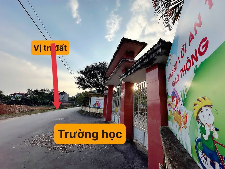 Đất đấu giá Hoàng Đan, Tam Dương 130m² giá chỉ 1.2 tỷ - Đầu tư sinh lời ngay!