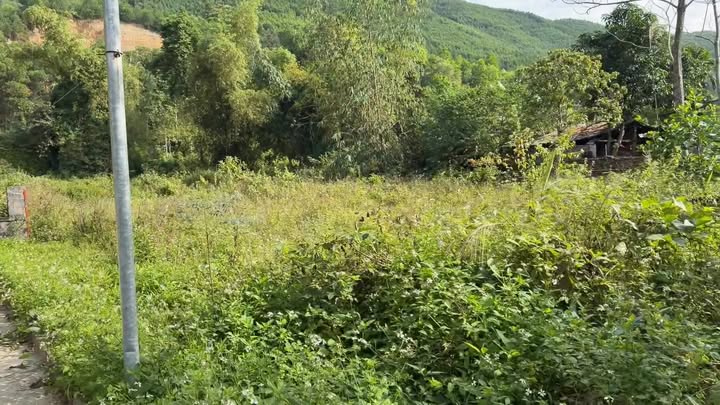 Đất thổ cư 300m² tại Cát Nê, 2000m² giá thỏa thuận - Cơ hội đầu tư tuyệt vời!