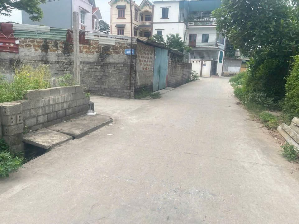 Đất nền Hồng Vân, Thường Tín 80m² giá 4.4 tỷ - Đầu tư sinh lời ngay!