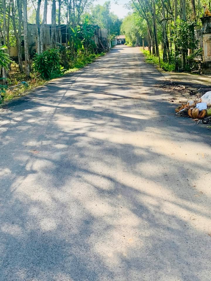 Đất nền Dầu Tiếng Bình Dương 250m² giá 700 triệu - Đầu tư sinh lời ngay!